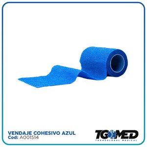 https://transglobal.co.cr/wp-content/uploads/2023/09/AZUL-300x300.jpg