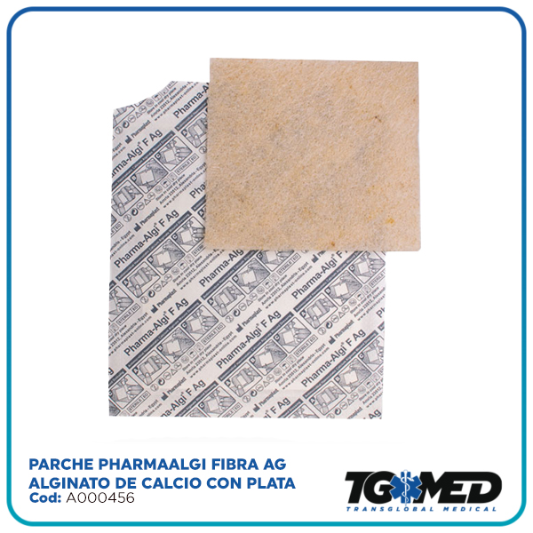 plantilla
