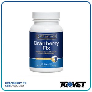 https://transglobal.co.cr/wp-content/uploads/2026/07/cranberry-300x300.jpg