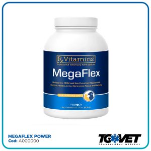 https://transglobal.co.cr/wp-content/uploads/2026/07/megaflex-300x300.jpg