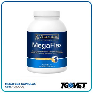 megaflex-cap https://transglobal.co.cr/wp-content/uploads/2026/10/megaflex-cap-300x300.jpg